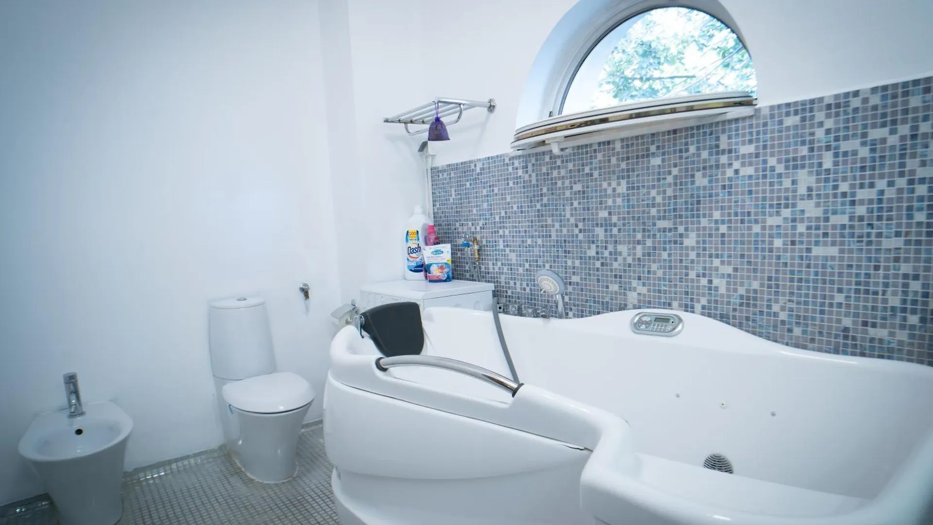 Luxuria Central Villa Bucharest